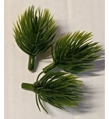 Borovicová větvička malá