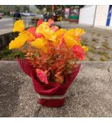 Květinová vazba #5