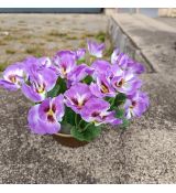 Květinová vazba - macešky fialové