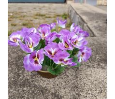 Květinová vazba - macešky fialové