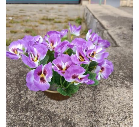 Květinová vazba - macešky fialové