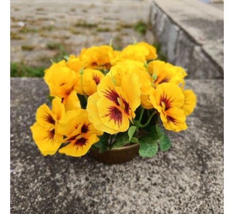 Květinová vazba - macešky žluté