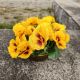 Květinová vazba - macešky žluté