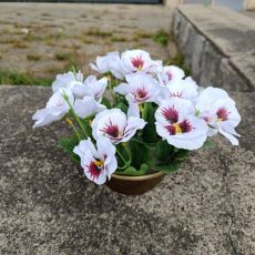 Květinová vazba - macešky bílé