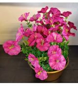 Květinová vazba #16