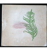 Zpívající vodopád - Ivo Štuka