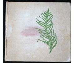 Zpívající vodopád - Ivo Štuka