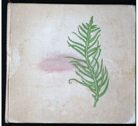 Zpívající vodopád - Ivo Štuka