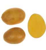 Sadbové brambory Mariannka 5 kg - B/A