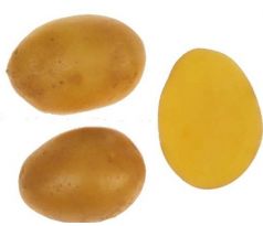 Sadbové brambory Mariannka 5 kg