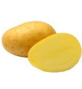 Sadba brambor Antonia 5 kg - A