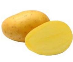 Sadba brambor Antonia 5 kg