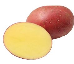 Sadba brambor Red Sonia 5 kg
