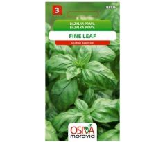 Bazalka pravá FINE LEAF