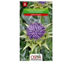 Ostropestřec marianský