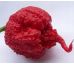 Chilli paprička Carolina reaper