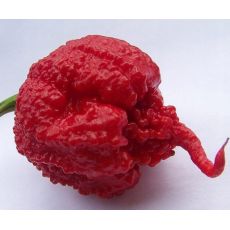 Chilli papričky MIX
