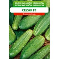 Okurka CEZAR F1