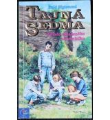 Záhada ukradeného náhrdelníku - Enid Blyton