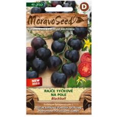 Tyčkové rajče Blackball