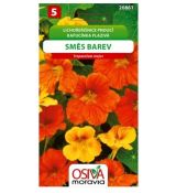 Lichořeřišnice pnoucí směs barev