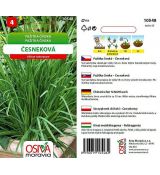 Pažitka čínská česneková