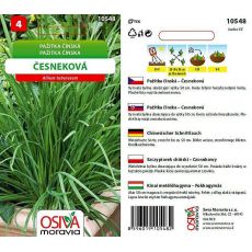 Pažitka čínská česneková