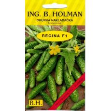 Okurka REGINA F1 Holman