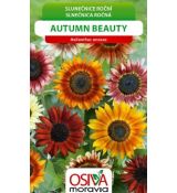 Slunečnice roční Autumn Beauty