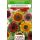 Slunečnice roční Autumn Beauty