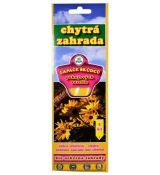 Lapače škůdců pokojových rostlin - 5ks