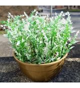 Květinová vazba #21