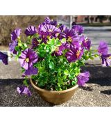 Květinová vazba #18