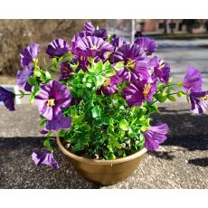 Květinová vazba #18