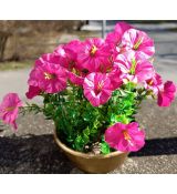 Květinová vazba #17