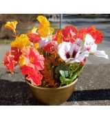 Květinová vazba #15