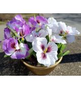 Květinová vazba #13