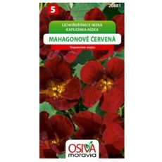 Lichořeřišnice mahagonově červená