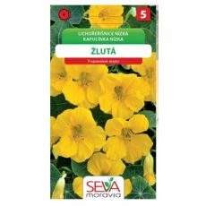 Lichořeřišnice žlutá