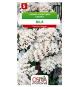 Limonka chobotnatá bílá