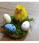 Kuřátko s vajíčky