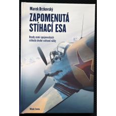 Zapomenutá stíhací esa: Osudy osmi spojeneckých stíhačů druhé světové války - Marek Brzkovský