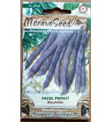 Keříčkový pnoucí Blauhilde