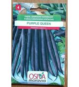 Keříčkový fazol PURPLE QUEEN